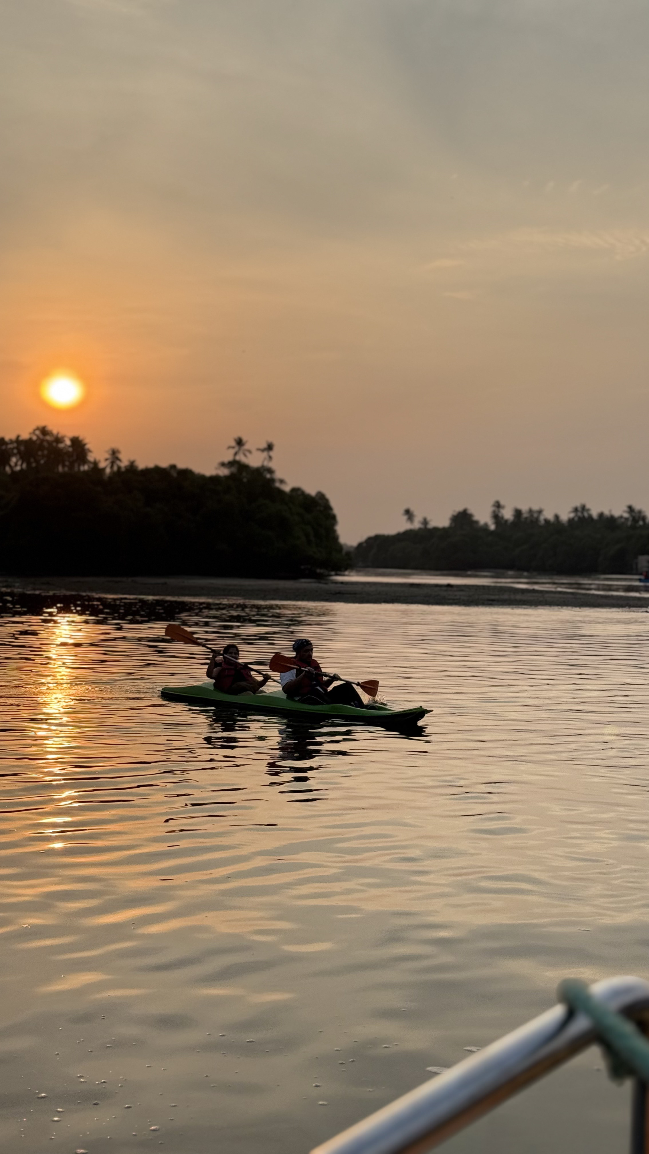 Kayaking in the mangroves